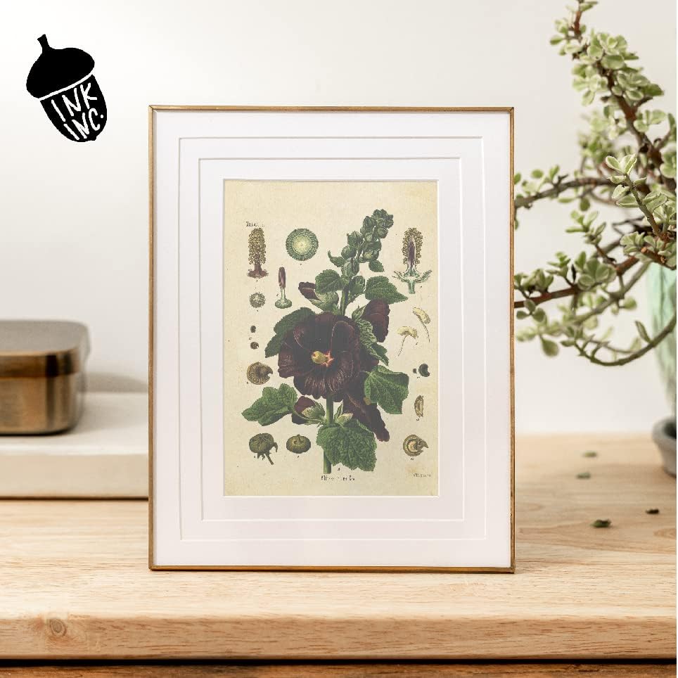 Ink Inc. Реколта Ботанически Щампи|, Определени за създаване на Колажи от горски растения, Диви Горски цветя и Гъби, Стенно изкуство | Декор на Фермерска къща в стил бох?