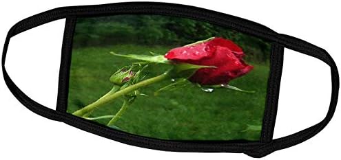 3dRose Renderly Yours Цветя - Новата Роза с пъпки, блестящи от роса - Маска за лице (fm_22262_1)