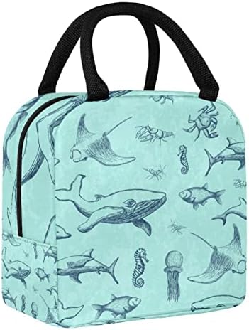 Океански Кийт Зелената Боя Чанта за Обяд Изолиран Обяд-Бокс Чанта за Пикник на Открито Училище Пътен Контейнер