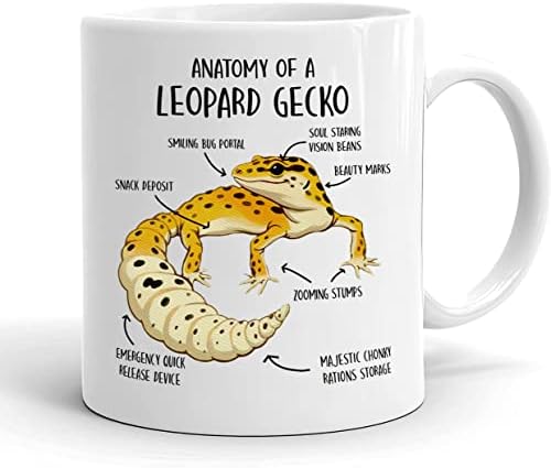 Кафеена чаша с леопардовым гекконом - Анатомия леопардового гекон - Сладък подарък за влечуги - Любител на Животните - Чаша със забавна ящерицей, 11 грама, бяла, ЧАША-8O