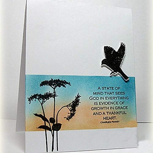Птици, Листа от Растителни Мотиви Пера с най-добри Пожелания Прозрачен Силиконов Печат за Направата на Картички,