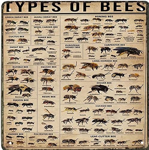 Лидице Табела, Ретро Стенен Плакат с Видове Пчели, Плакат с видове Пчели, Плакат с Познания, Любител на Пчелите,