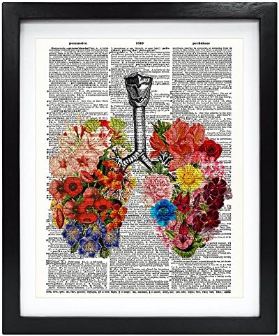 8X10 Без Рамки Цветя Леки Анатомия на човека Тапи, Ретро Речник Художествена Печат Книга Художествена печат