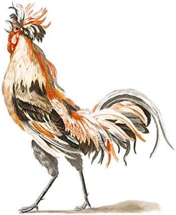 Щампи с петел от Ink Inc. | Ретро декор на кухня | Стенно изкуство с пиле | Селска къща в стил бохо | Комплект
